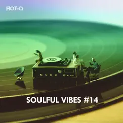 Soulful Vibes, Vol. 14 by Hot-Q album reviews, ratings, credits