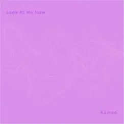 Look At Me Now - Single by Kamoo album reviews, ratings, credits