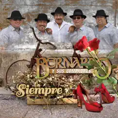 Siempre by Bernardo y Sus Compadres album reviews, ratings, credits