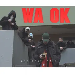 Wa ok (feat. Said) - Single by AOB, Abiad & Chapo album reviews, ratings, credits