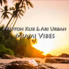 Miami Vibes (feat. Ari Urban) Song Lyrics