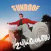 Sunroof (24kGoldn Remix) - Single album lyrics, reviews, download