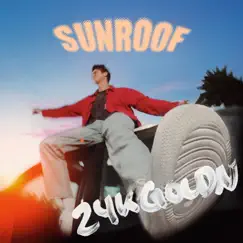 Sunroof (24kGoldn Remix) Song Lyrics
