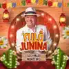 Fulô Junina - Single album lyrics, reviews, download