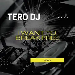 I Want To Break Free (Remix) Song Lyrics