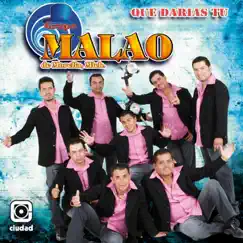 Qué Darías Tú? by Grupo Malao de Morelia Mochoacán album reviews, ratings, credits