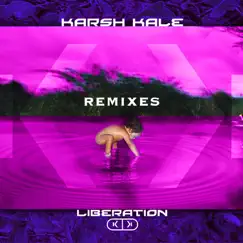Liberation Remixes - Single by Karsh Kale album reviews, ratings, credits