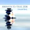 Awaken to True Zen album lyrics, reviews, download