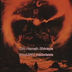 Om Namah Shivaya - Single by SKY Kadwasra album reviews, ratings, credits