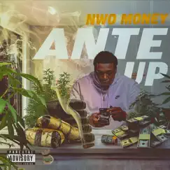 Ante Up - Single by N.W.O Money album reviews, ratings, credits