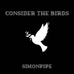 Consider the Birds - Single by Simon Pipe album reviews, ratings, credits