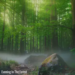 Evening In The Forest by Water World & Healing Nature Sounds album reviews, ratings, credits