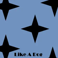 Like a Dog Song Lyrics