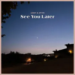 See You Later - Single by LESKY & DYVN album reviews, ratings, credits