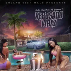 Reposado Vibez (feat. Supreme C) Song Lyrics