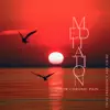 Meditation for Chronic Pain: Sound Stimulation, 174 Hz Frequency for Effective Relieve, 528 Hz will Transform Your Life into Miracle album lyrics, reviews, download