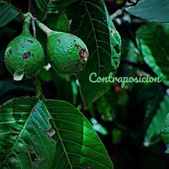 Raices by Contraposición album reviews, ratings, credits