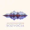 Sozvočja album lyrics, reviews, download