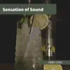 Sensation of Sound album lyrics, reviews, download