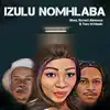 Izulu Nomhlaba - Single album lyrics, reviews, download