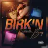 Birkin Bag (feat. Mbeast, Lanii Lyrik & Mike Mezzl) - Single album lyrics, reviews, download