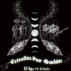 Estrellas Por Galón - Single by El Igor & El Gato album reviews, ratings, credits