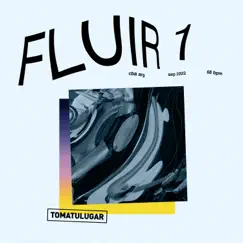 FLUIR 1 by Toma Tu Lugar album reviews, ratings, credits