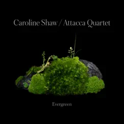 Caroline Shaw: Evergreen by Caroline Shaw & Attacca Quartet album reviews, ratings, credits