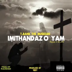 Imithandazo Yam - Single by TBank album reviews, ratings, credits