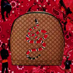 Gucci Bag (feat. Kingcalepsi) Song Lyrics