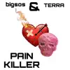 Pain Killer (feat. Terra) - Single album lyrics, reviews, download