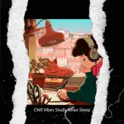 Chill Vibes Study Relax Sleep - Single by Type Beat Brasil, Lofi Hip-Hop Beats & Lofi Beats album reviews, ratings, credits