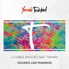 Sounds Like Madness (feat. Tamara) Song Lyrics