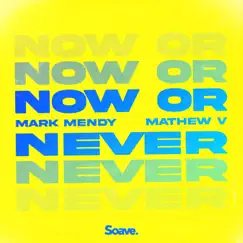 Now or Never Song Lyrics
