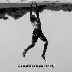 Les Adultes Se Comportent Mal by Wes Felton album reviews, ratings, credits