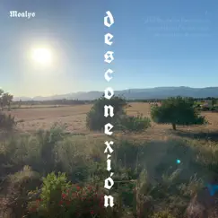 DESCONEXIÓN by Møalys album reviews, ratings, credits