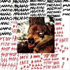 Stop Hate Song Lyrics