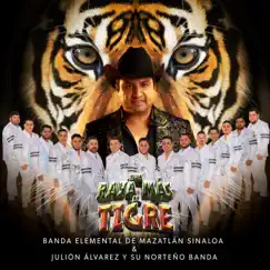 Una Raya Más al Tigre Song Lyrics