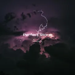 Perfect Storm - Single by Sirabhorn album reviews, ratings, credits