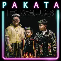Pakata - Single by Picus album reviews, ratings, credits