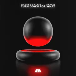 Turn Down For What - Single by Richard Hovart & Aralka album reviews, ratings, credits