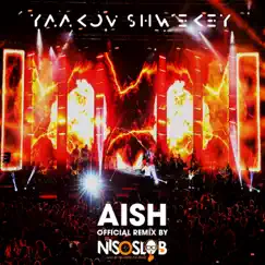 Aish (Official Remix) Song Lyrics