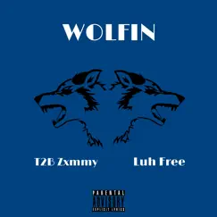 Wolfin - Single (feat. FreeIndacut) - Single by T2B Zxmmy album reviews, ratings, credits