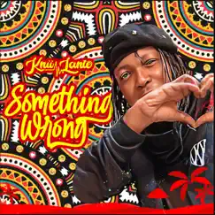 Something Wrong - Single by Knii Lante album reviews, ratings, credits