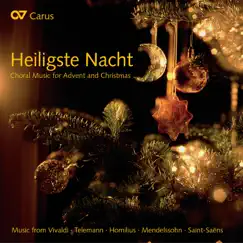 6 Motets, Op. 79: I. Weihnachten 