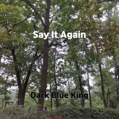 Say It Again - Single by Dark Blue King album reviews, ratings, credits