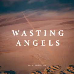 Wasting Angels (Acoustic) Song Lyrics