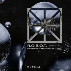 R.O.B.O.T. - Single by Sezer Uysal & OZBEK album reviews, ratings, credits