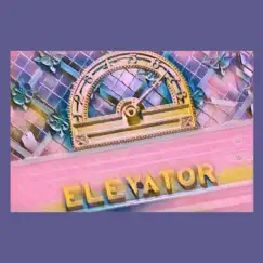 Elevator Song Lyrics