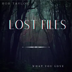 What You Love - Single by ROB Taylor album reviews, ratings, credits